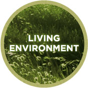 Theme 5: Improving the living environment and strengthening biodiversity Theme 5: Improving the living environment and strengthening biodiversity