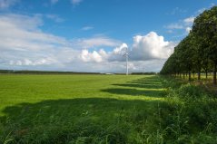 Agrarisch landschap in Flevoland