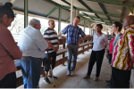 Technical tours and visits to small-holder farms (ARC research herds).