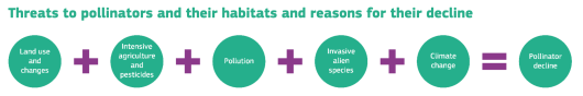 De uitdagingen waar bestuivers voor staan. Bron: ‘<L CODE="C26">Citizens for pollination conservation: a practical guidance</L>’. De uitdagingen waar bestuivers voor staan. Bron: ‘<L CODE="C26">Citizens for pollination conservation: a practical guidance</L>’.
