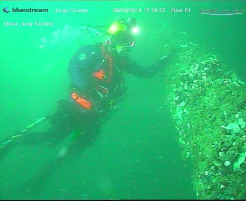 IMARES scientific diver sampling an ENGIE installation (photo by ENGIE)