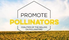 promote_pollinators3.jpg promote_pollinators3.jpg