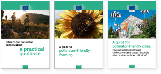 Een paar voorbeelden uit de serie met praktische gidsen voor verschillende doelgroepen. Bron: EU Pollinator Information Hive. Een paar voorbeelden uit de serie met praktische gidsen voor verschillende doelgroepen. Bron: EU Pollinator Information Hive.