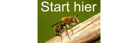 Start hier wegwijzer bestuivers Start hier wegwijzer bestuivers